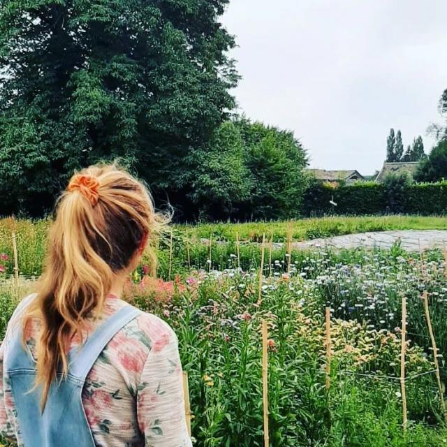 Instagram #terroirdecaux