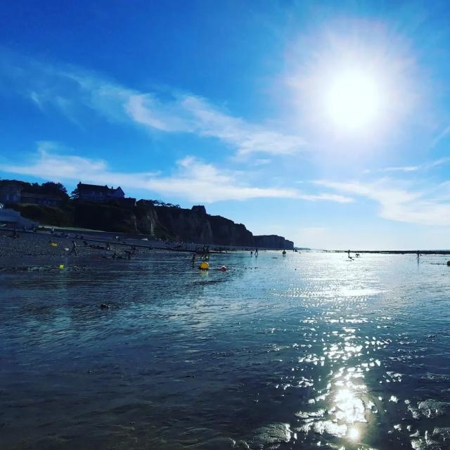 Instagram #terroirdecaux