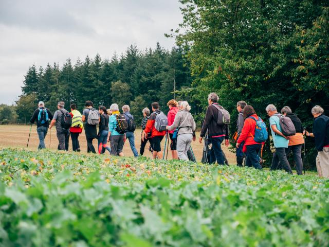 Randonneurs en Automne, La Fontelaye