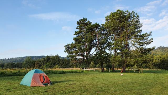 Tent Ferme du Pollet Torcy le Petit