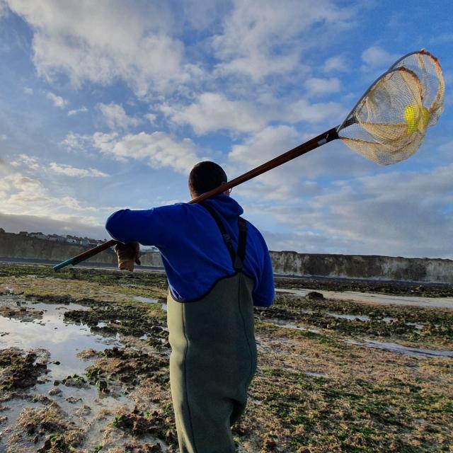 Pêche à pied Quiberville