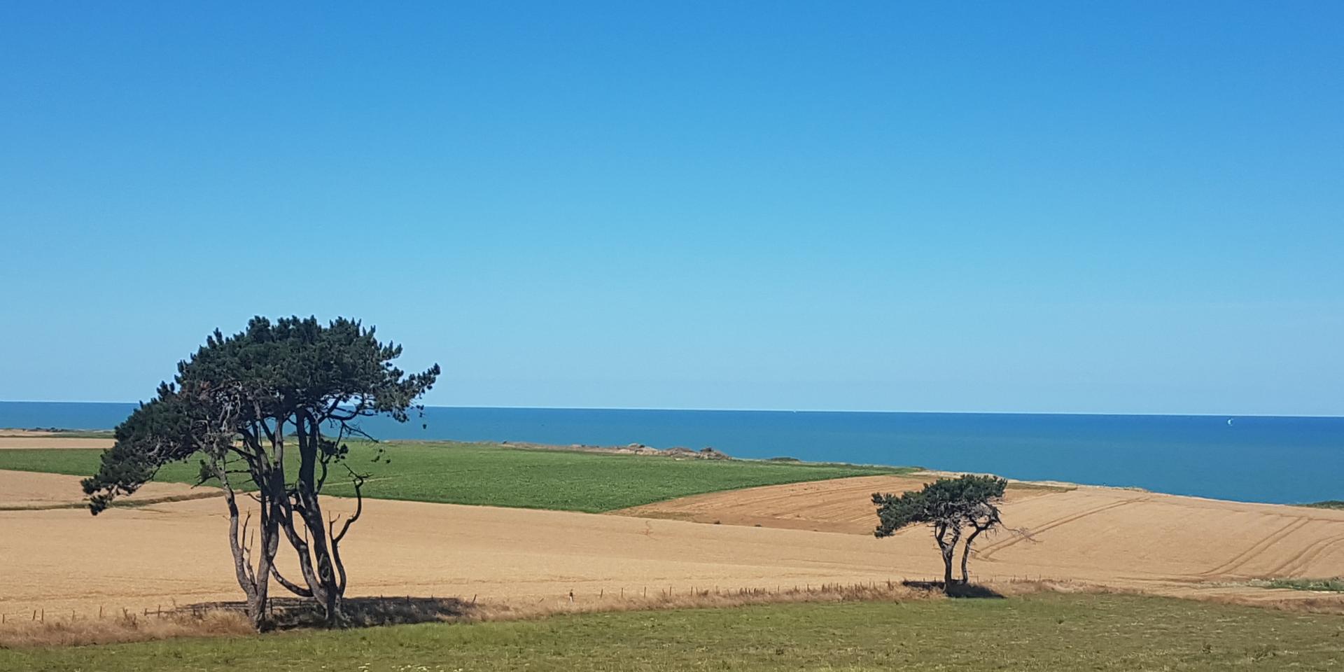 Blue Loop Quiberville