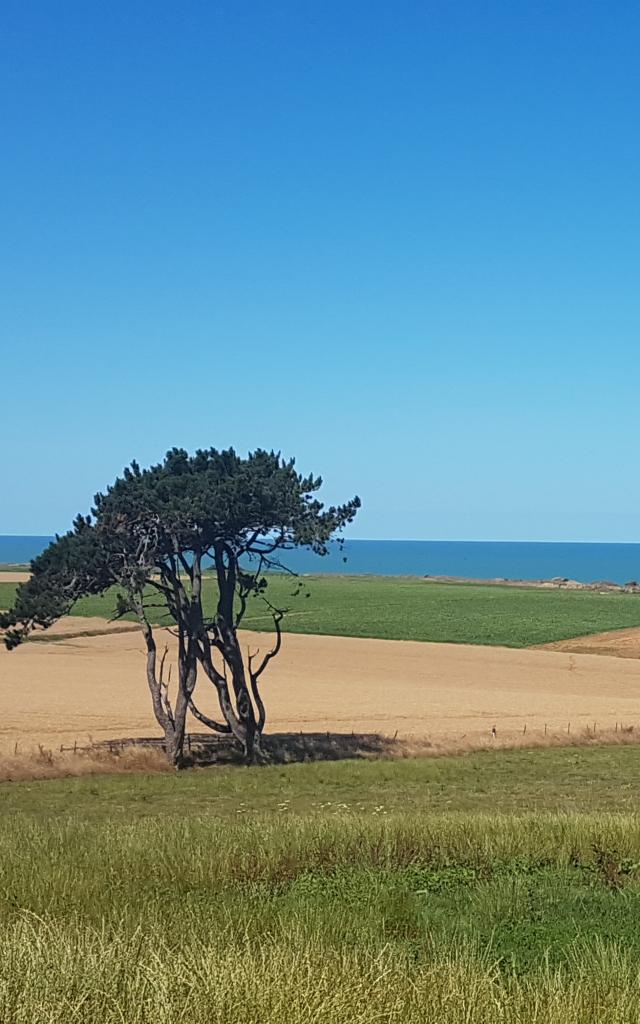 Blue Loop Quiberville