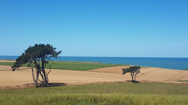 Blaue Schleife Quiberville