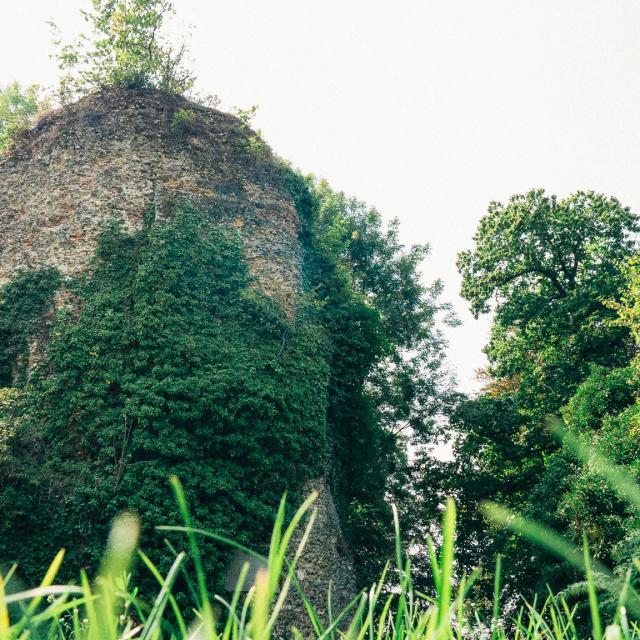 Chateau Longueville ©pierreleboucher 2017 (3)