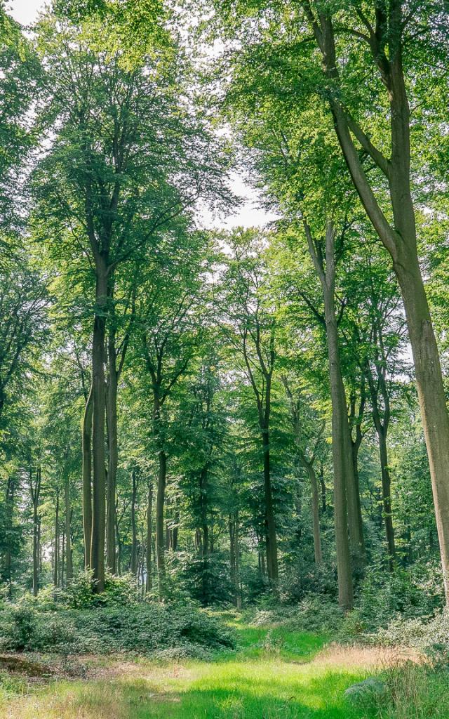 Drill Eawypierreleboucher 2017