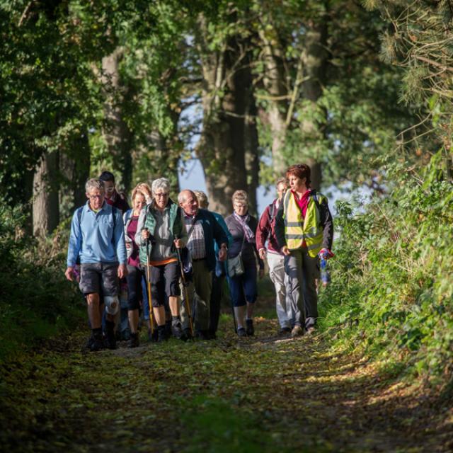 france, region normandie, seine maritime, terroir de caux, val de saane, randonnée gourmande,