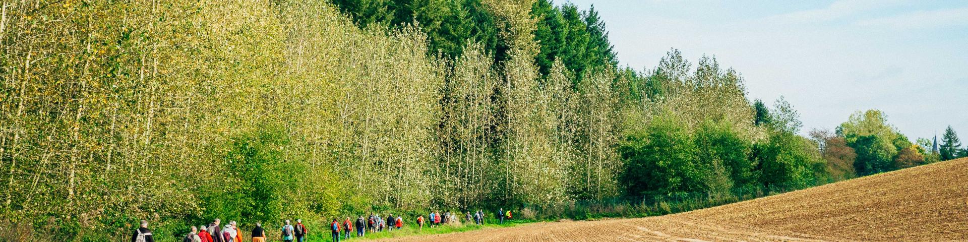 Tc 2017 Rando Gourmande 338