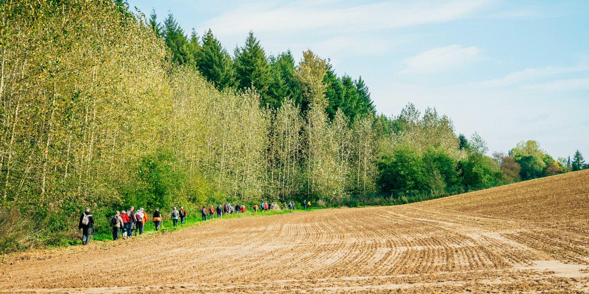Randonnée d'Automne