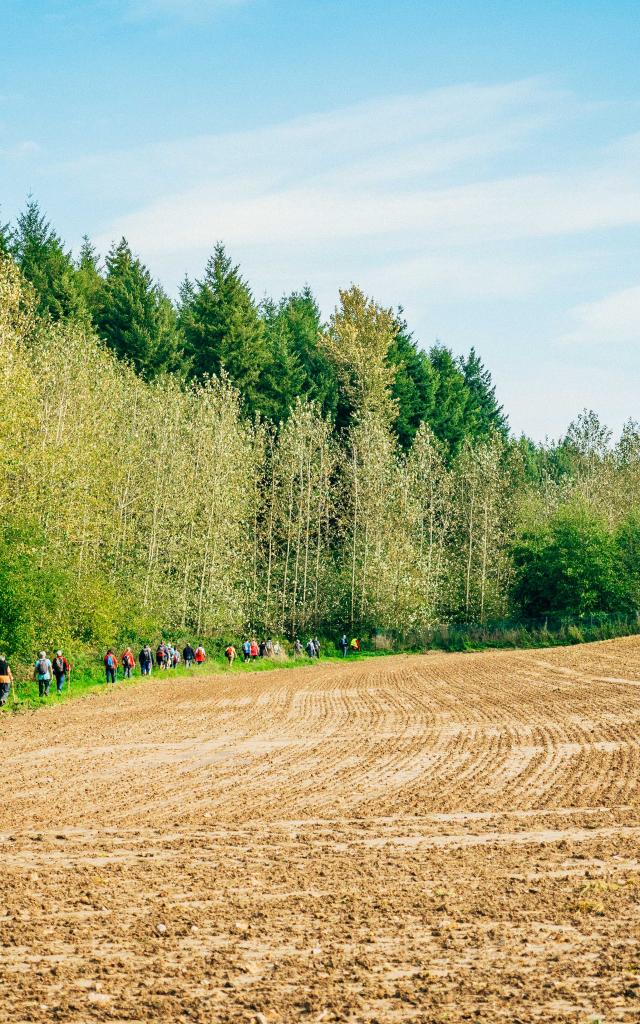 Tc 2017 Rando Gourmande 338