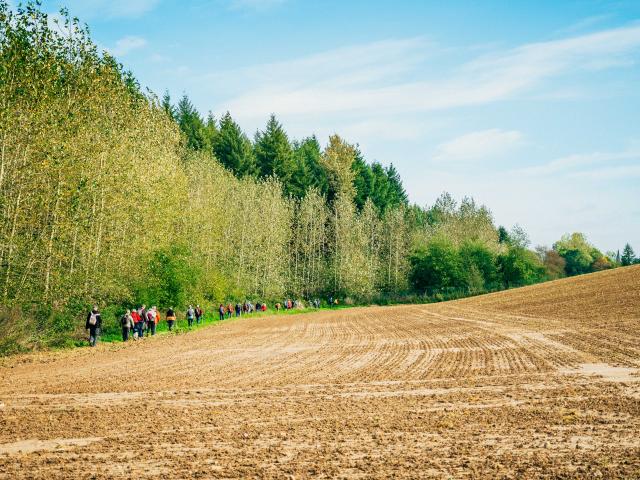 Randonnée d'Automne