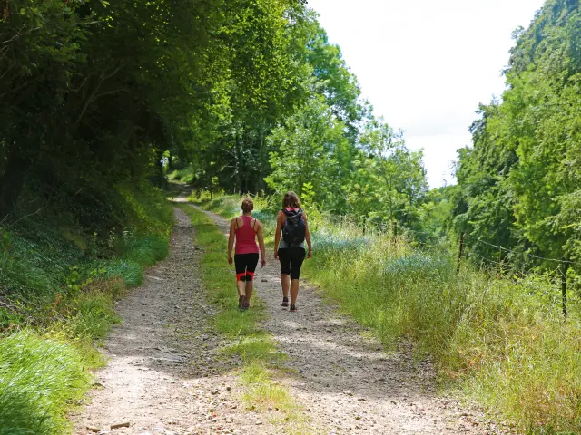 chemin de randonnée