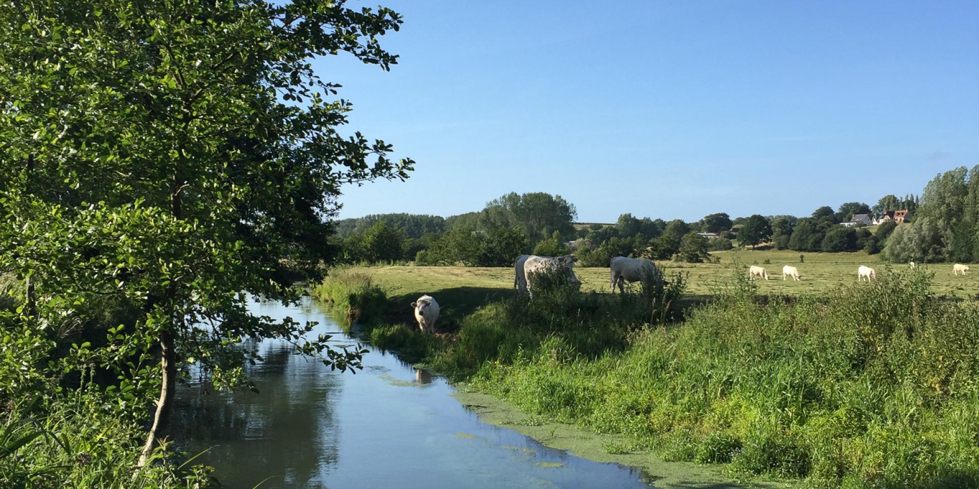 Vallée de la Saâne