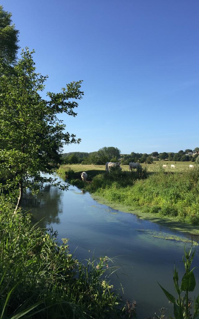 Spaziergang am Ufer der Saâne