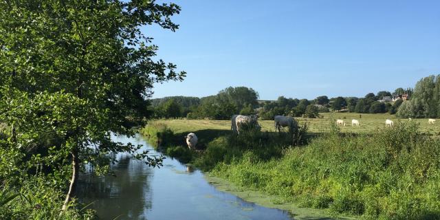 Spaziergang am Ufer der Saâne
