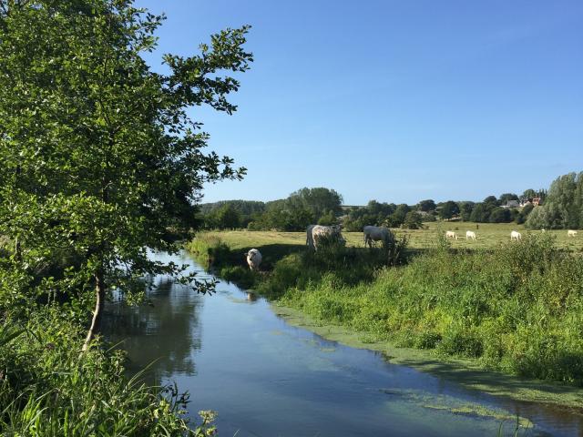 Vallée de la Saâne