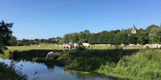 Paysage de bord de rivière