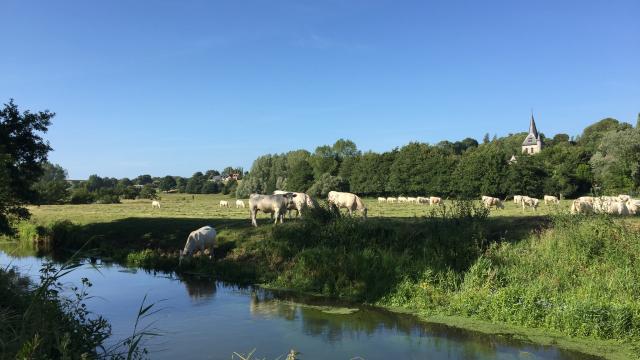 Paysage de bord de rivière