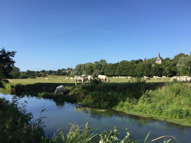 Paysage de bord de rivière