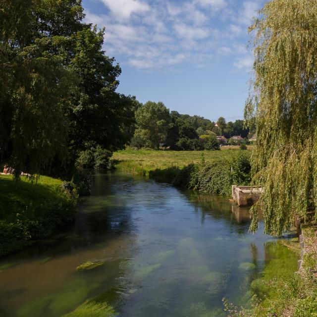 The Saâne from the bridge