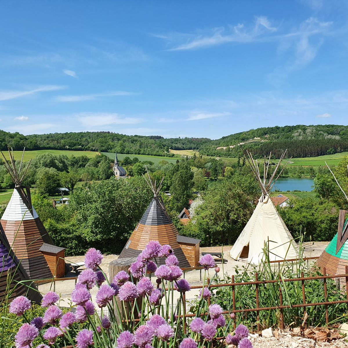 Rêve de Bisons, parc canadien Office de Tourisme Terroir de Caux — free download