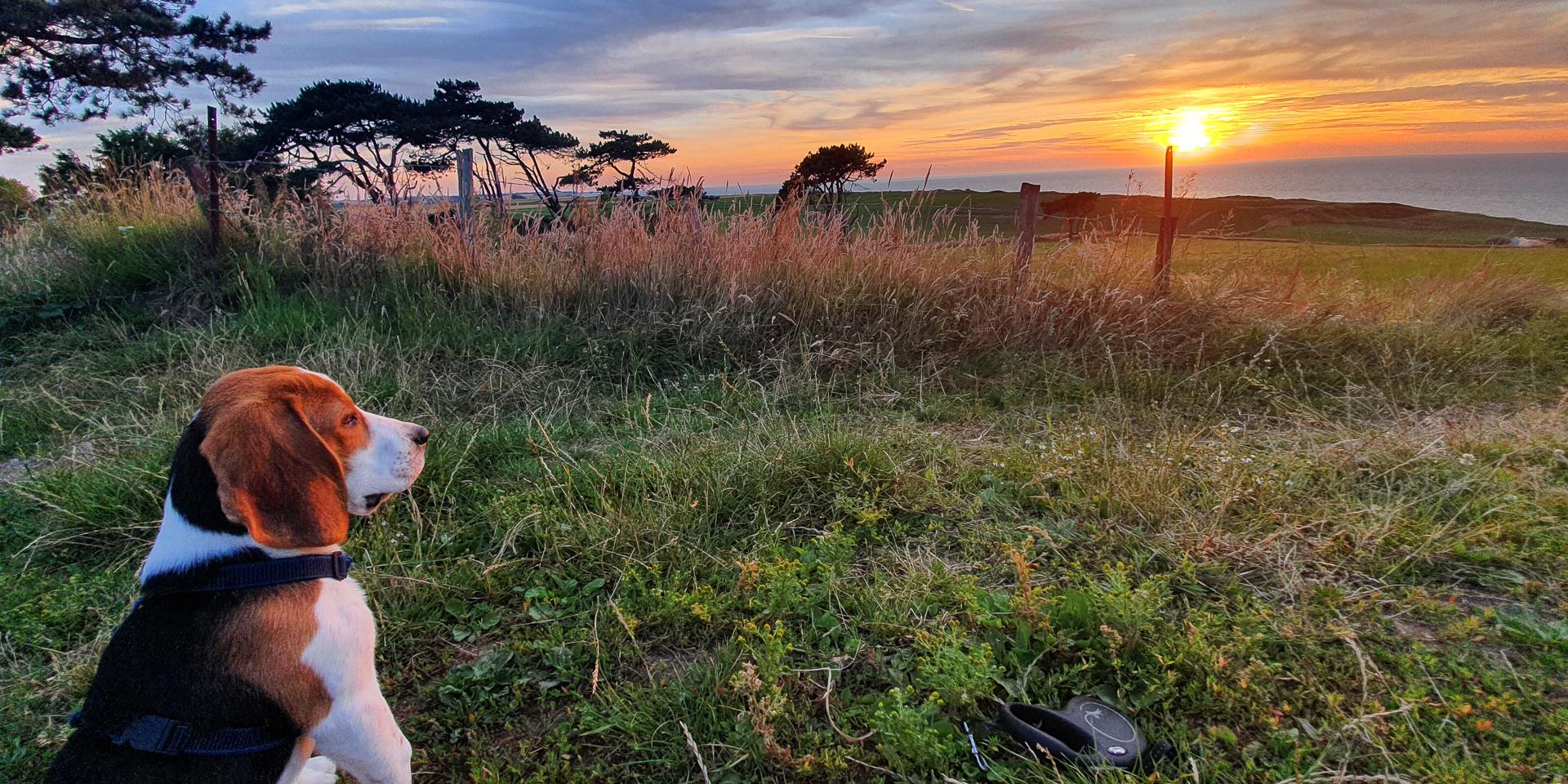 Taz Hiking Toutourisme Nature ©a (2)