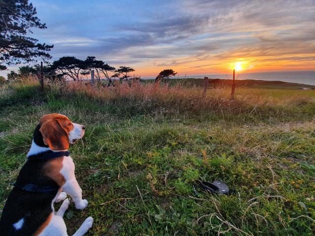 Taz Hiking Toutourisme Nature ©a (2)