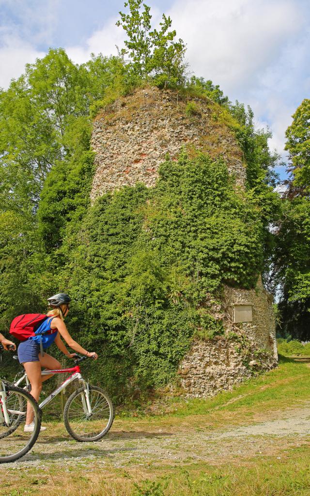 The ruins of the castle Gauthier Giffard