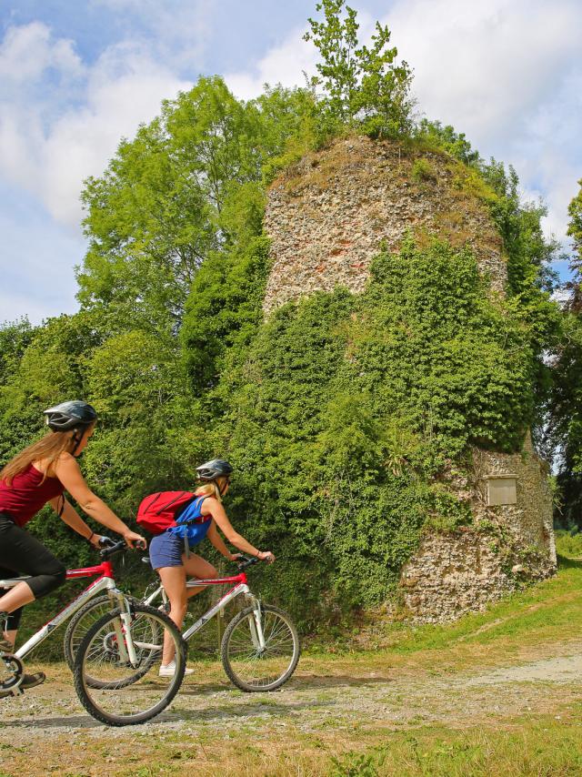 The ruins of the castle Gauthier Giffard