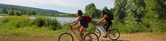 The ponds of Saint-Germain