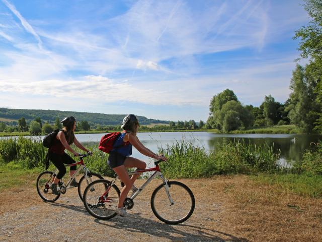 The ponds of Saint-Germain