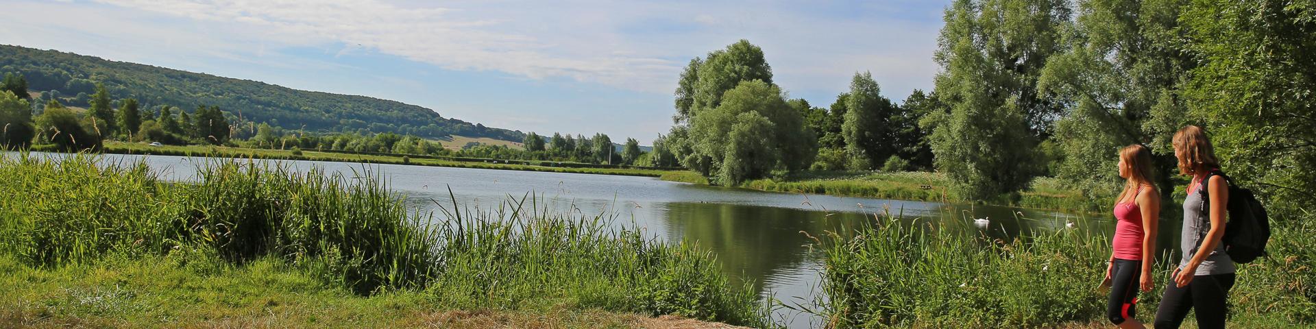The ponds of Saint-Germain