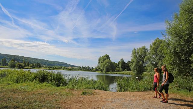 The ponds of Saint-Germain