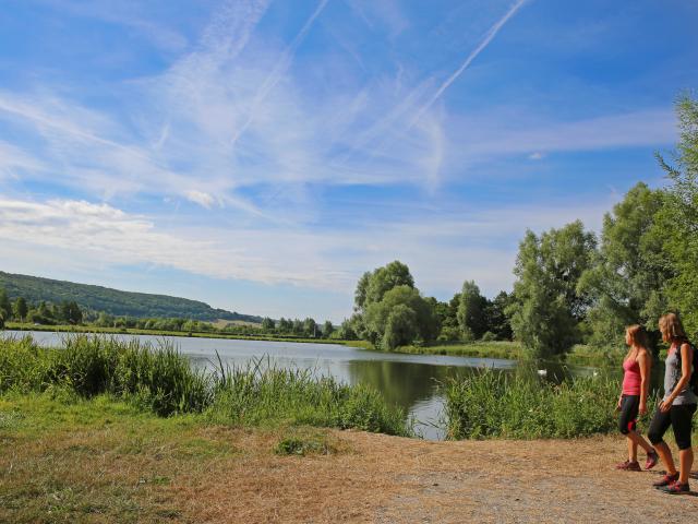 The ponds of Saint-Germain
