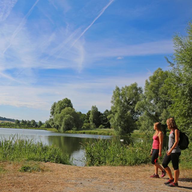 les étangs de Saint-Germain