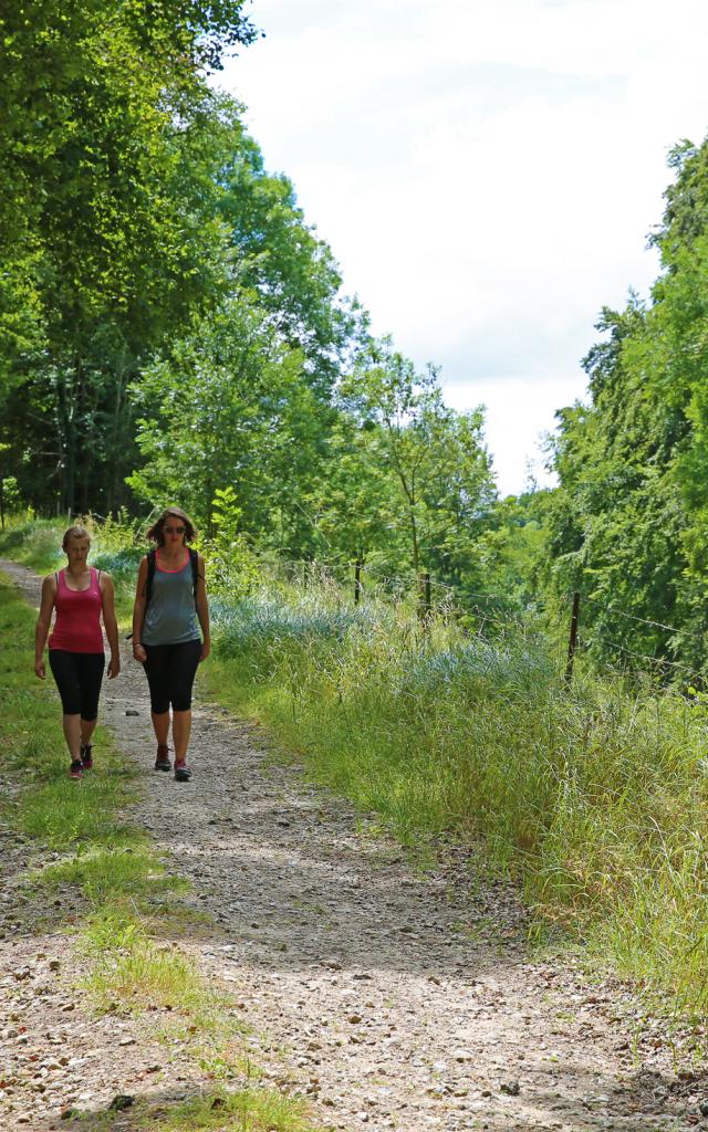 chemin de randonnée