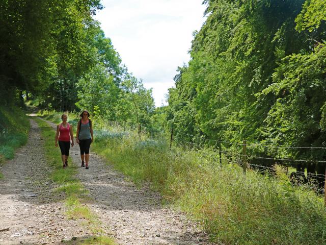 Hiking in the countryside