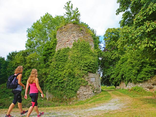 The ruins of the castle Gauthier Giffard