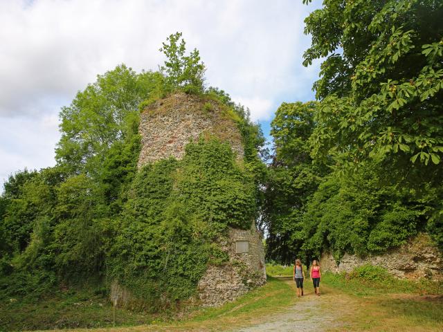 The ruins of the castle Gauthier Giffard