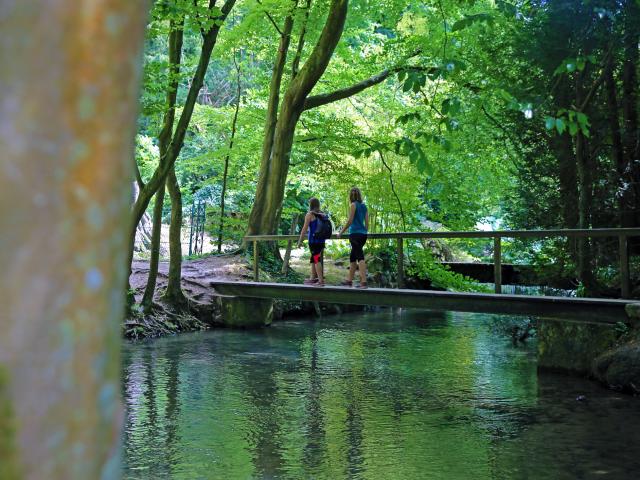 Ponton au dessus de la Saâne