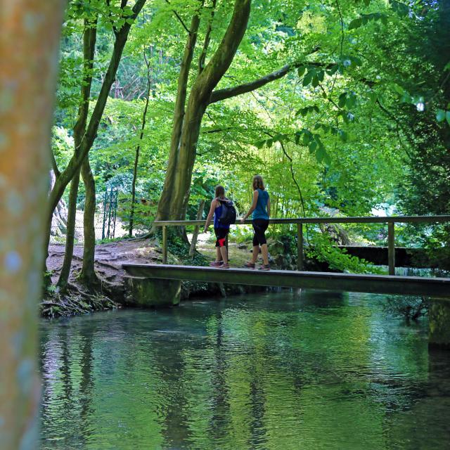 Passage over the Saâne river