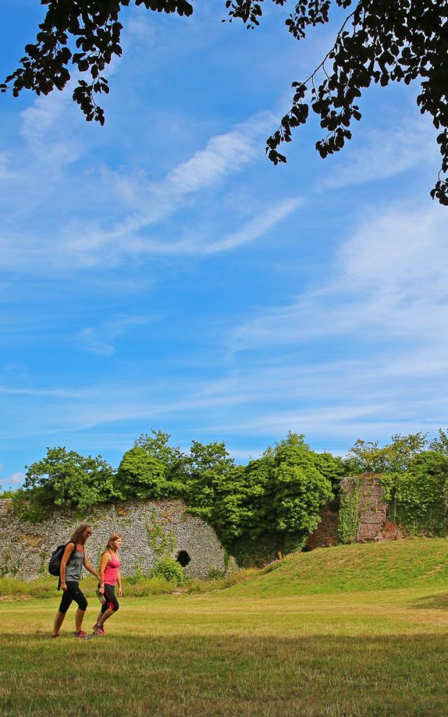 The ruins of the castle Gauthier Giffard