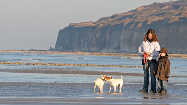 Beach at low tide
