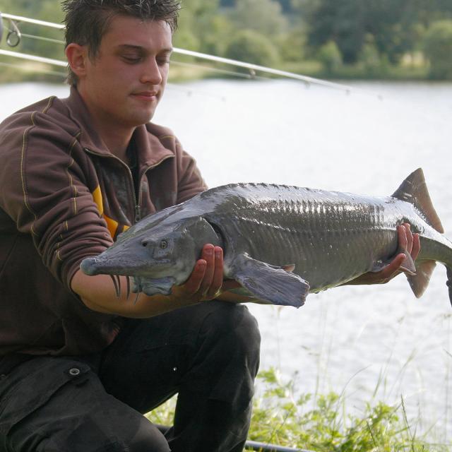 Angling on the pond