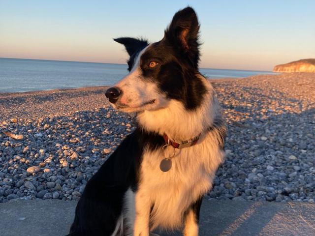 Stroll on the beach at high tide