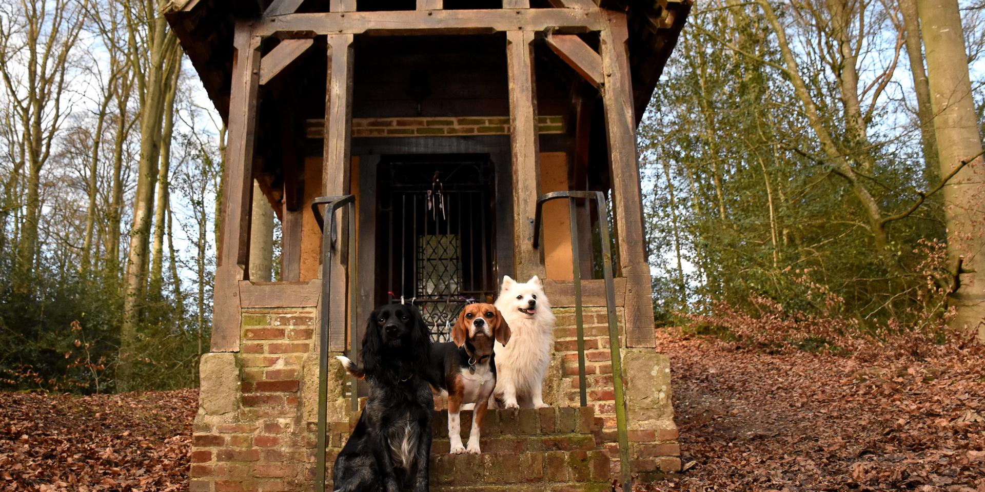 Stroll to discover the heritage