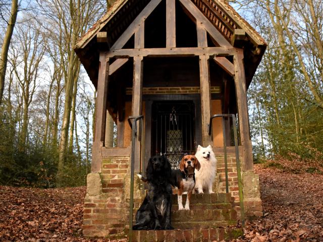 Stroll to discover the heritage