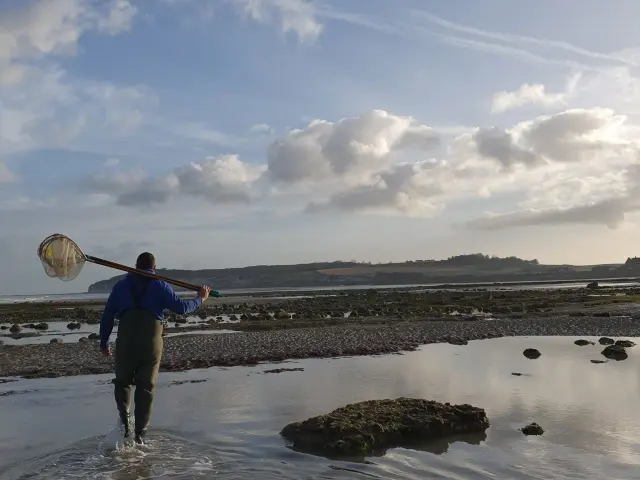 Pêche à Pied à Quiberville