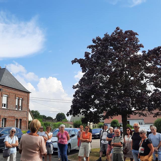 Greuville storytelling tour on the trail of the Wizards