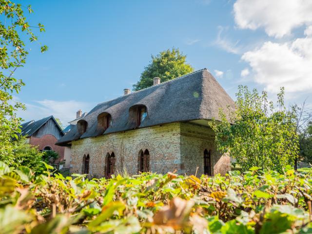 Cottage in Beauval-en-Caux